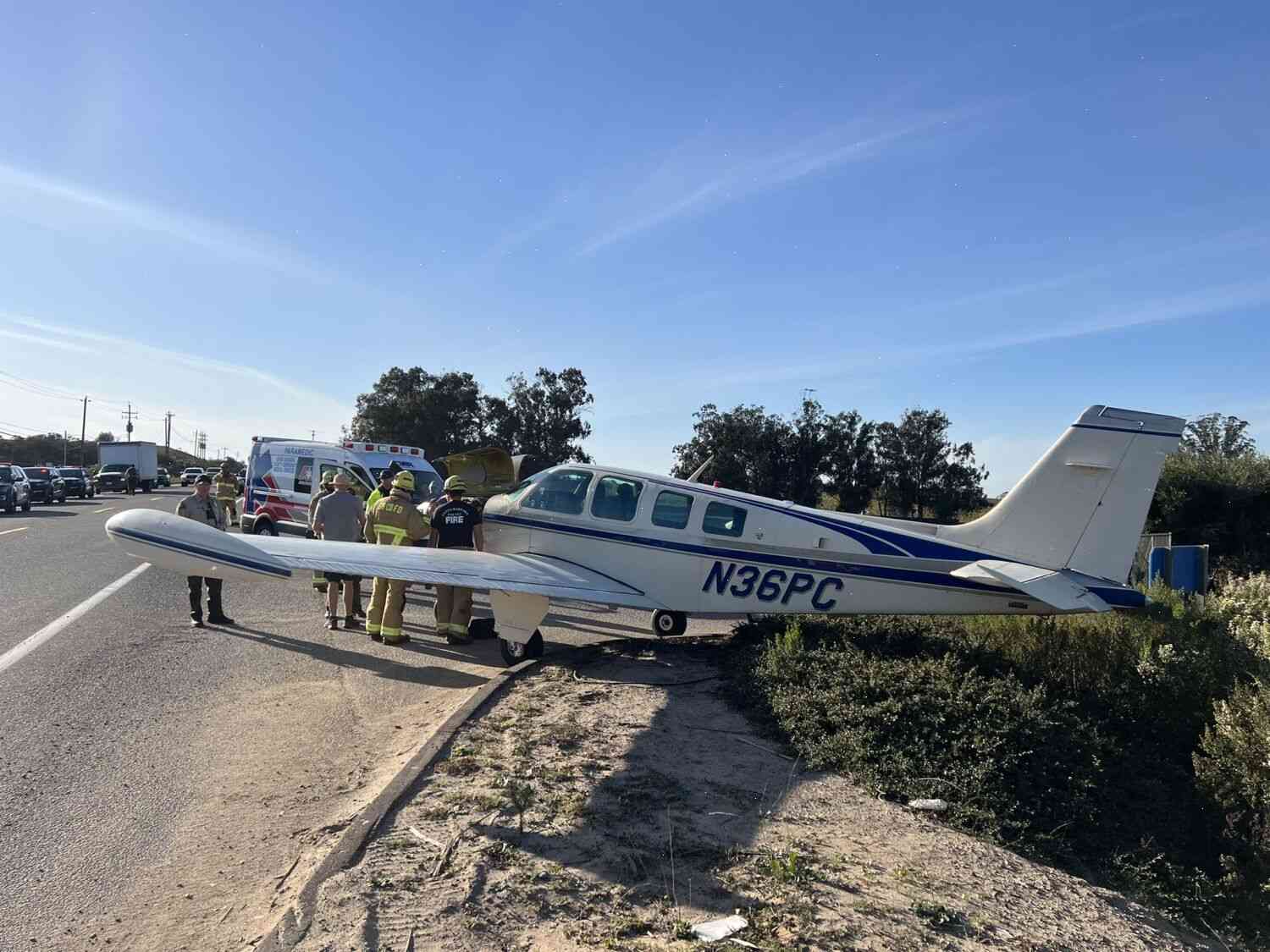 The plane crashed into the road after a man was injured by falling trees