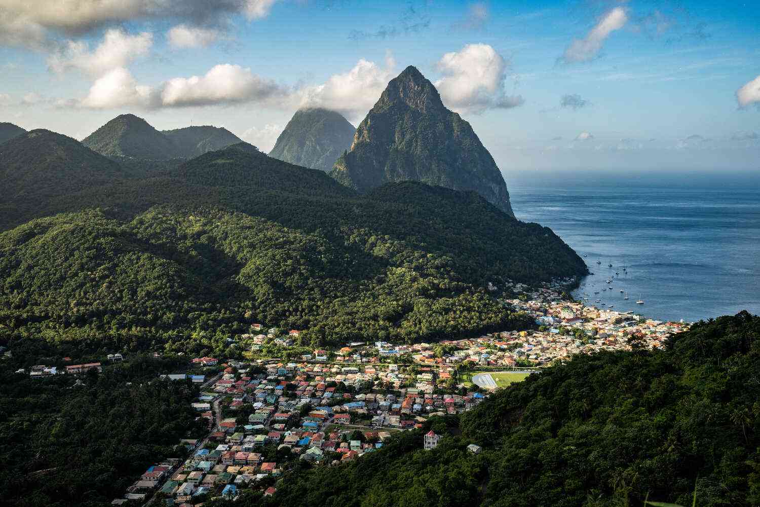 St. Lucia: A Story of Horses