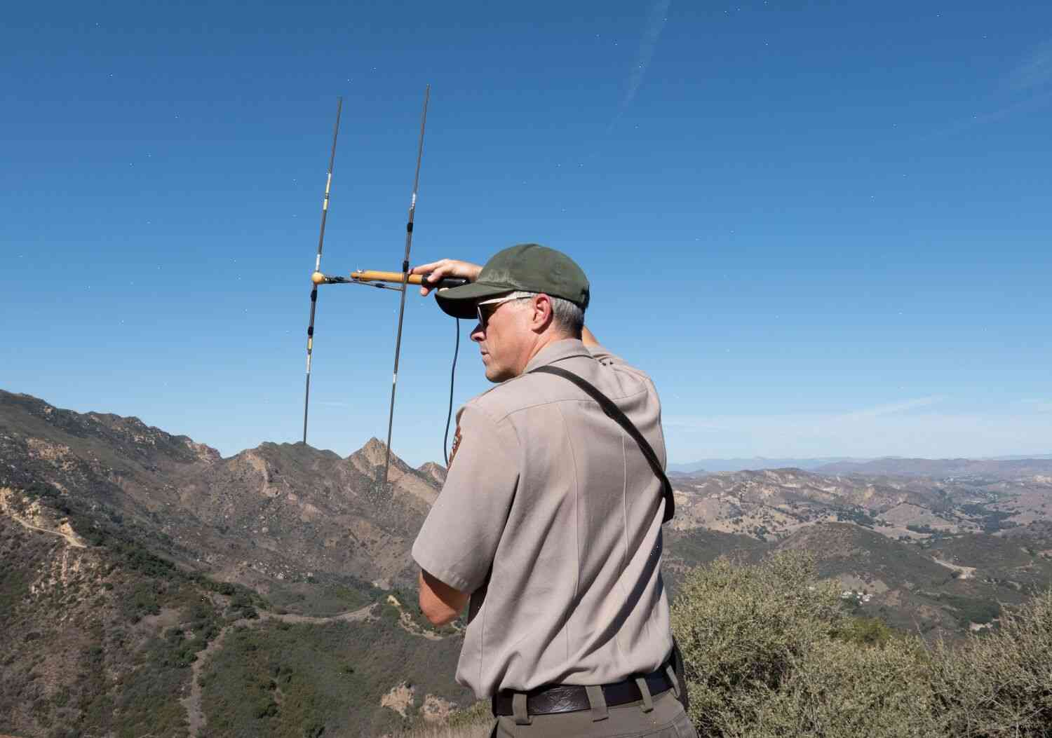 The GPS Tracker System Will Help Keep Mountain Lions from Become Roadkill
